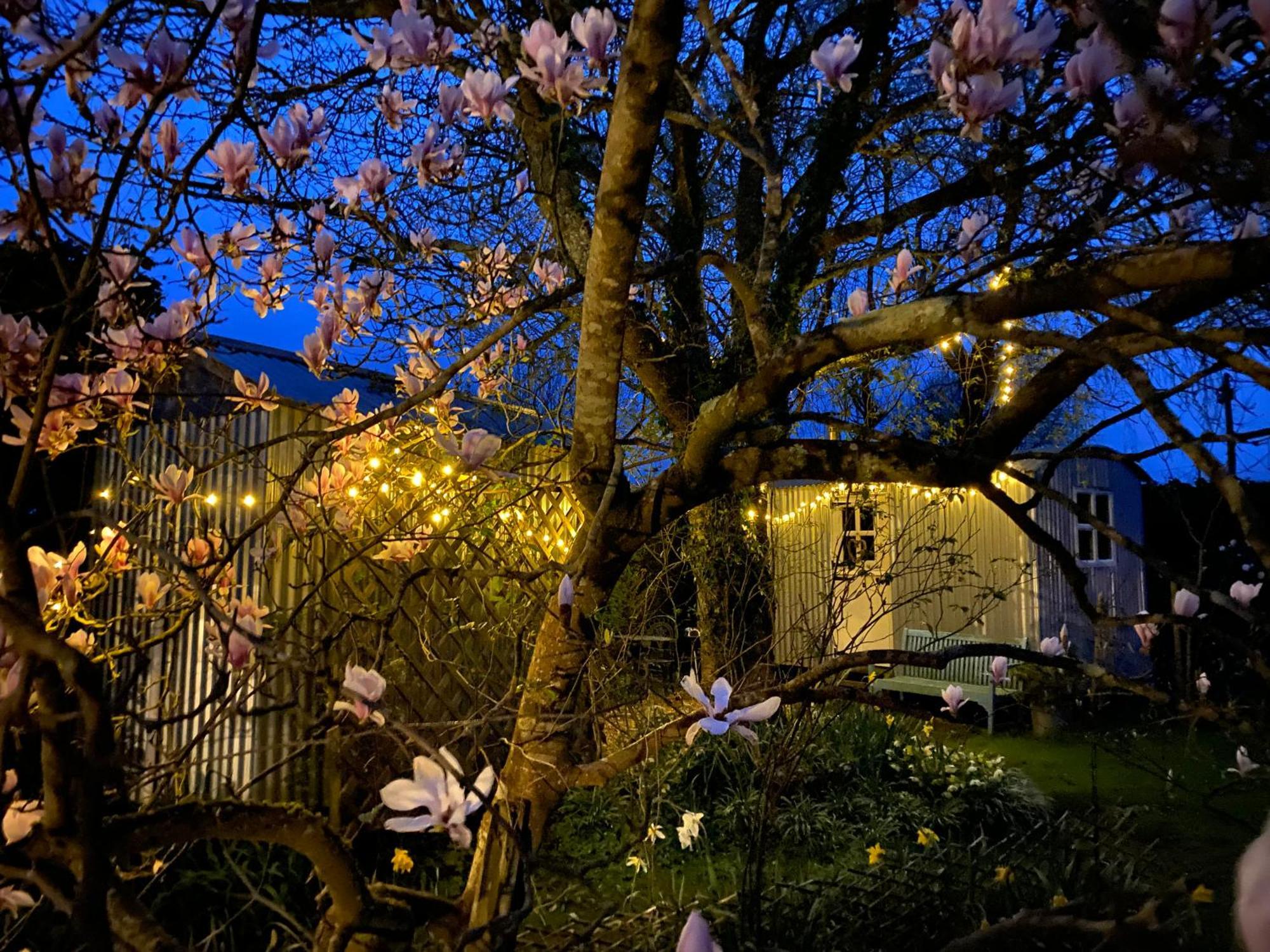 The Wayside Shepherd Hut Beaulieu Exterior photo